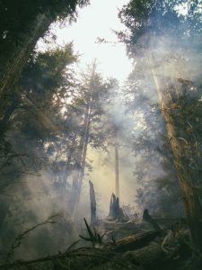 How Risky is Camping?